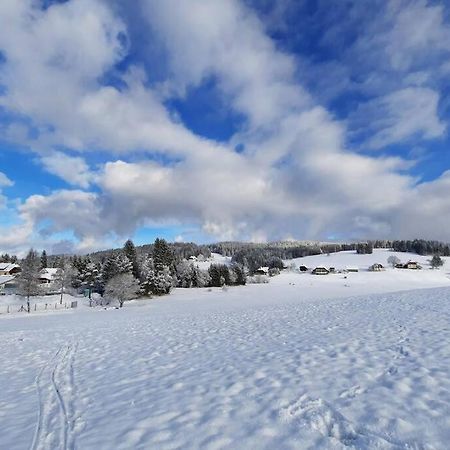 Gemuetliche Ferienwohnung Fuer 4 Gaeste In Schoenwald Schönwalde Eksteriør bilde